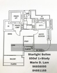 Starlight Suites (D9), Apartment #296860011